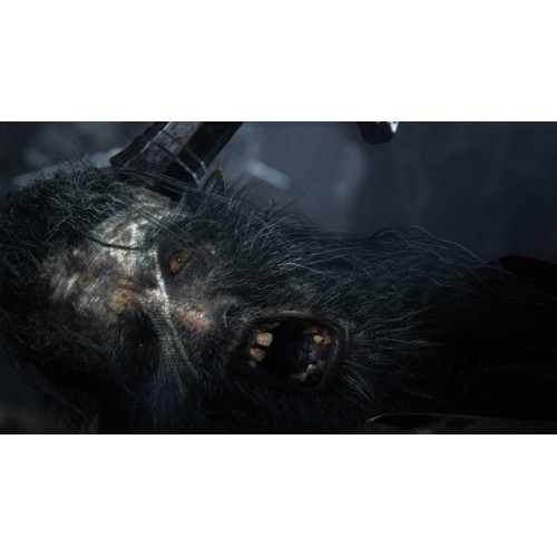 Bloodborne: Порождение Крови русские субтитры для PS4