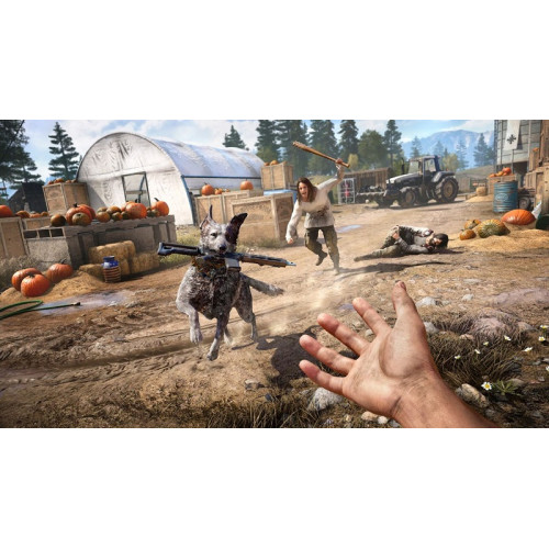 Far Cry 5 русская версия для PS4