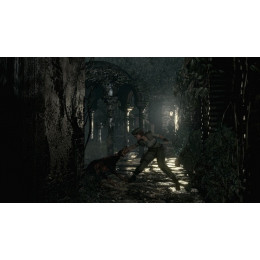 Resident Evil Origins Collection для PS4