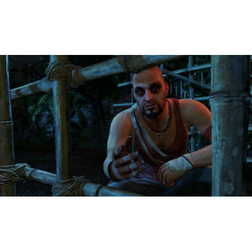 Far Cry 3 русская версия для PS4