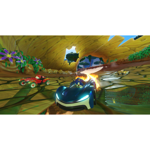 Team Sonic Racing русские субтитры для PS4