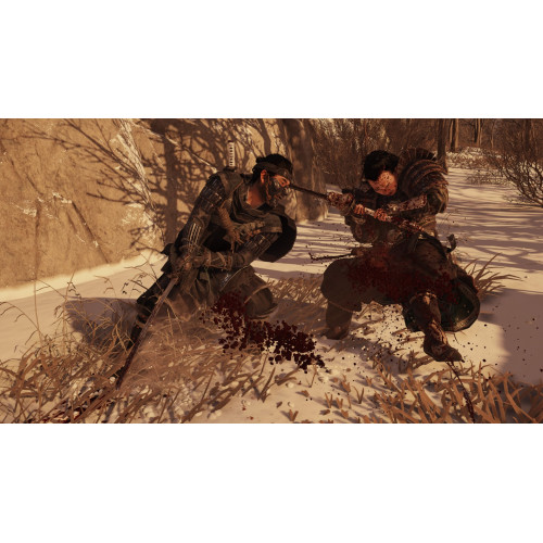 Ghost of Tsushima (Призрак Цусимы) русская версия для PS4
