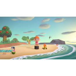 Animal Crossing: New Horizons русская версия для Nintendo Switch