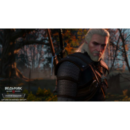 Ведьмак 3. Дикая Охота GOTY Edition русские субтитры для PS4