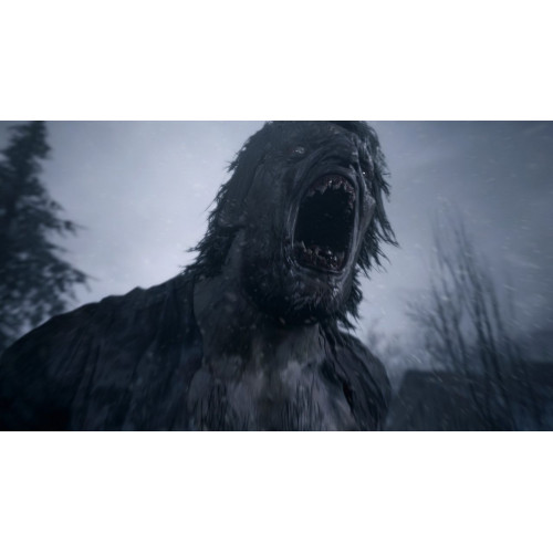 Resident Evil Village русская версия для PS4