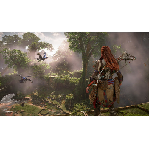 Horizon Запретный Запад русская версия для PS4