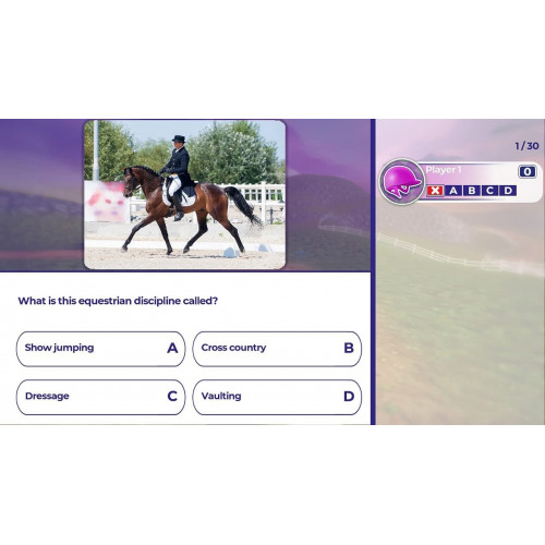 Equestrian Training для Nintendo Switch