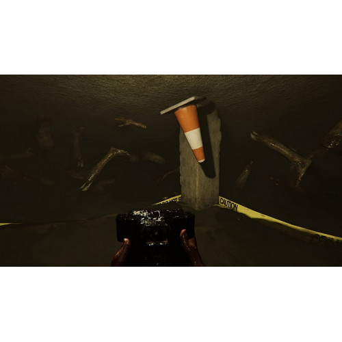 Madison Possessed Edition русские субтитры для PS4