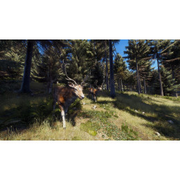 Way of the Hunter русские субтитры для PS5