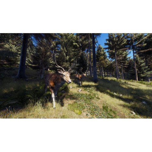 Way of the Hunter русские субтитры для PS5