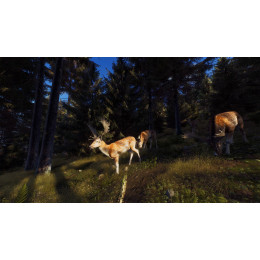 Way of the Hunter русские субтитры для PS5
