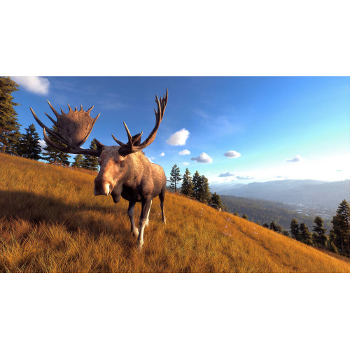 Way of the Hunter русские субтитры для PS5