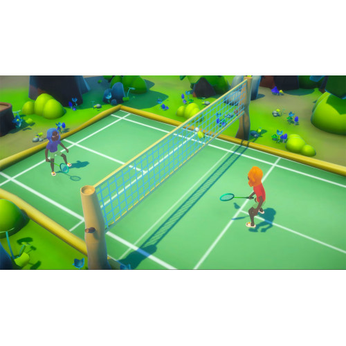 30 in 1 Sport Games для Nintendo Switch